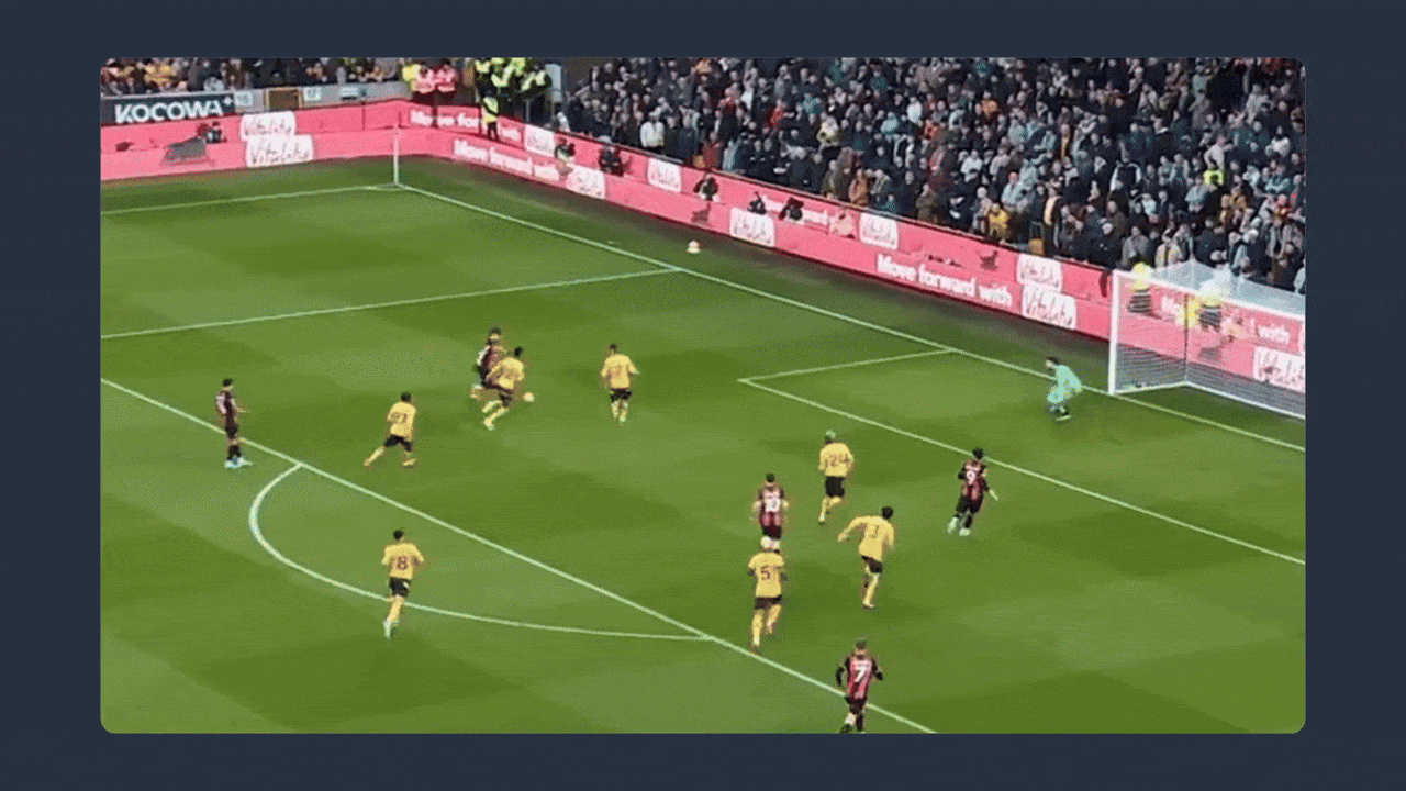 Vitality live sports